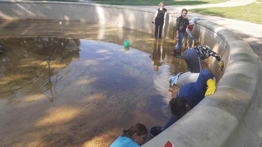 В Локте работники культуры очистили фонтаны в парке усадьбы Михаила Романова