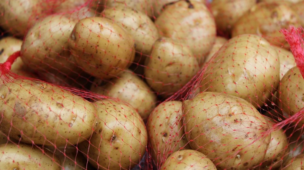 Засуха нанесла удар по брянскому картофелю