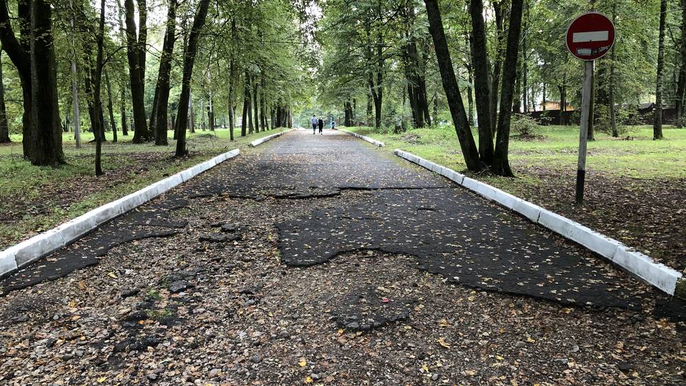 Главный парк Брянска стал его культурным позором