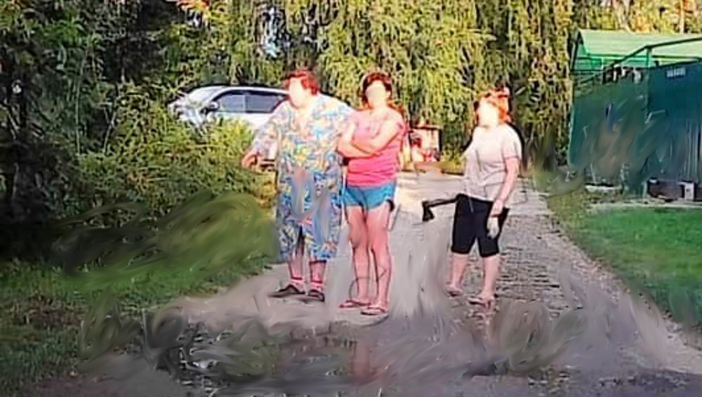 В Брянске семья вылила воду бассейна на дорогу и вышла к соседям с топором