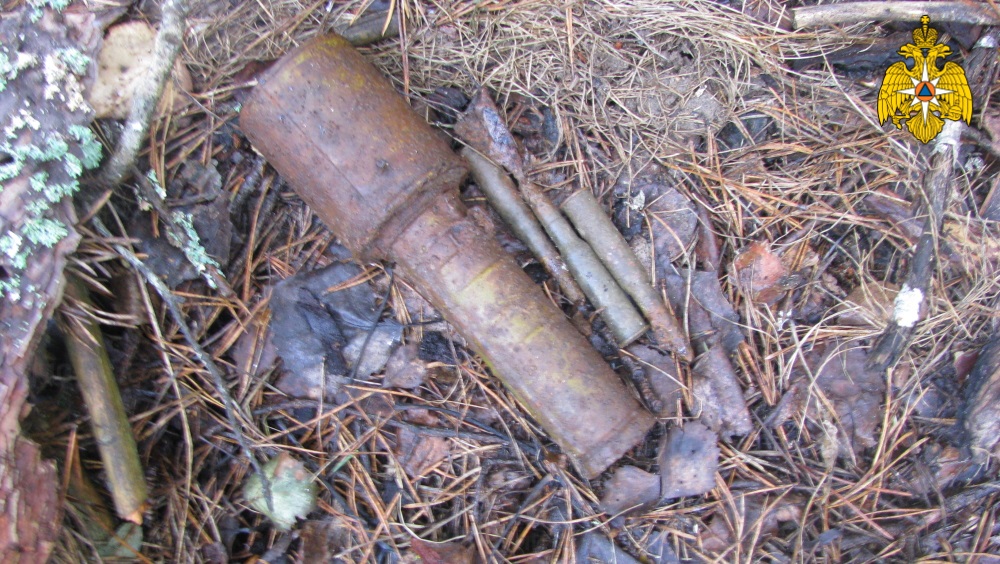 Под Дубровкой Брянской области в поле обнаружили гранату