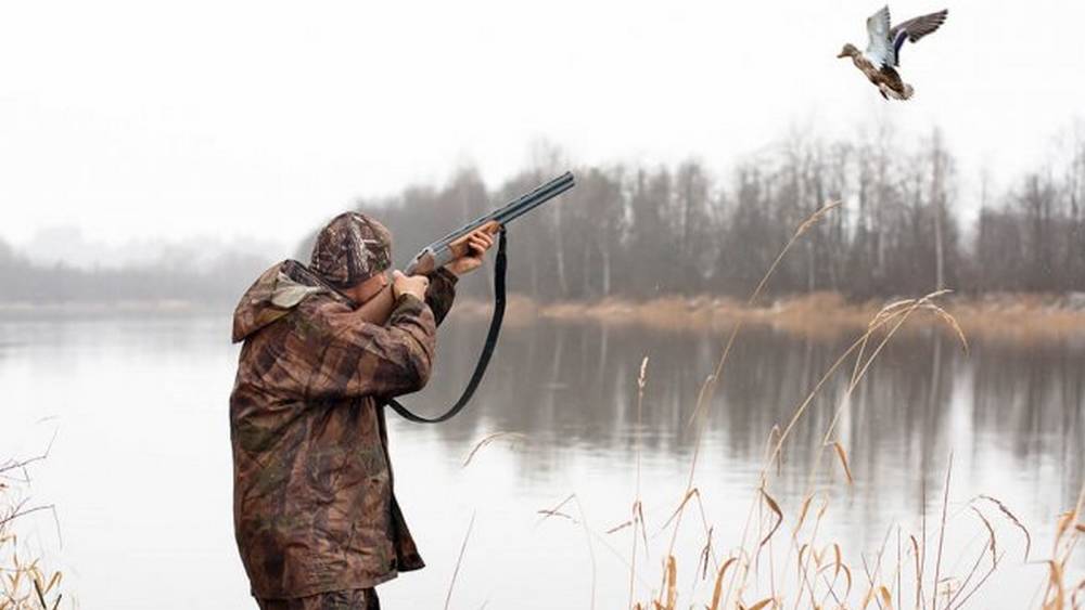 Охоту на птиц в Брянской области запретили до 16 июня