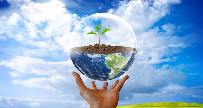 Зачем нужен экологический сертификат