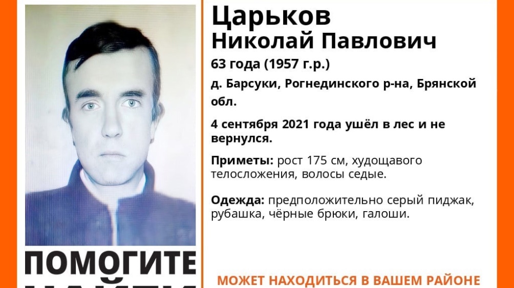 В Рогнединском районе пропал ушедший в лес 63-летний Николай Царьков