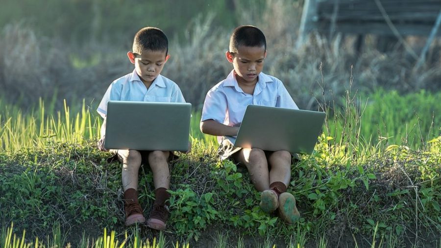 Программирование на Python: как выбрать курс для детей