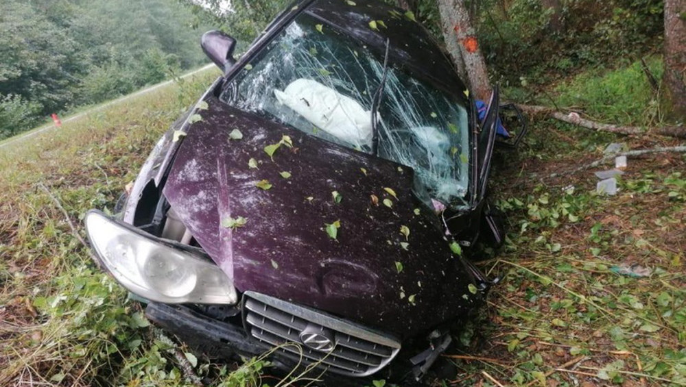 В Брянской области врезавшийся в дерево автомобилист покалечил пассажира