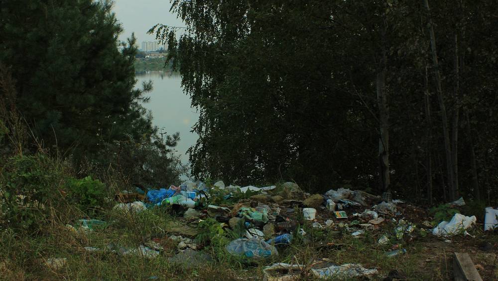 В Брянске на берегу озера Орлик совершили серию чудовищных преступлений