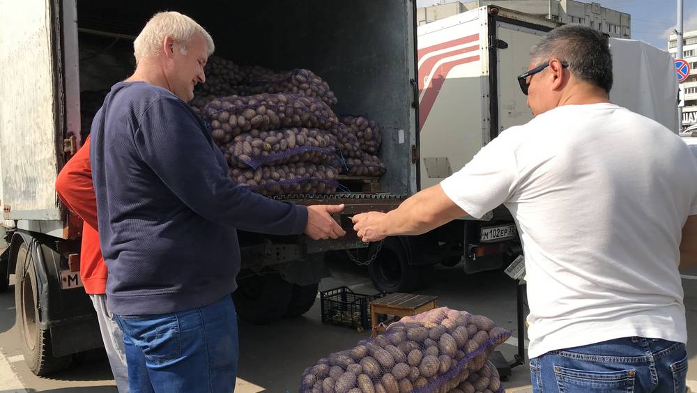 Брянские производители объяснили высокие цены на картофель