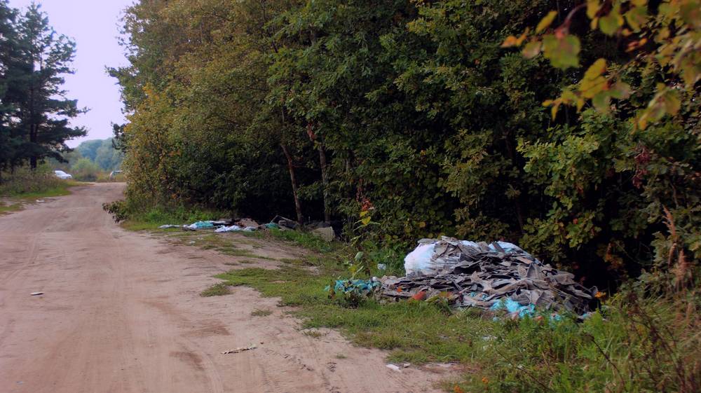 В Брянске на берегу озера Орлик совершили серию чудовищных преступлений