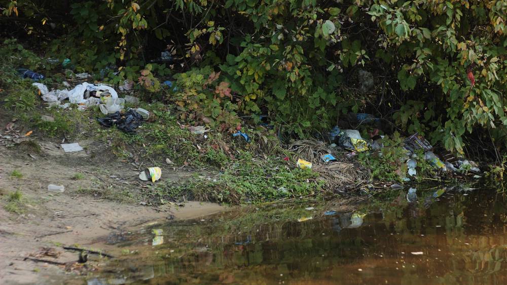 Улетавшие клином журавли печально посмотрели на брянскую подлость