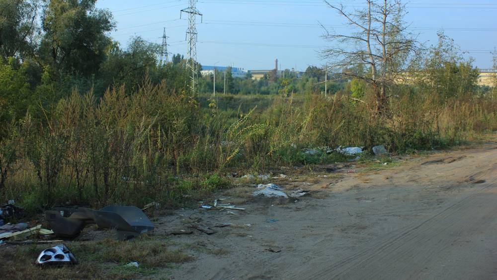 Улетавшие клином журавли печально посмотрели на брянскую подлость