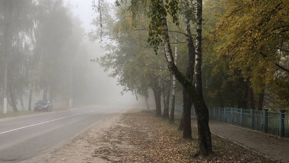 Утро 14 сентября в Брянске выдалось туманным и дождливым