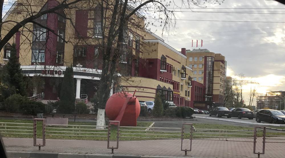 В Брянске на улице Дуки к МПСИ подползла двухметровая улитка