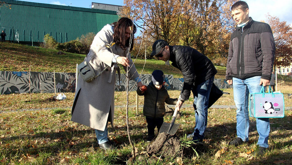 В Брянске дополнительно высадили новые деревья и кустарники в Саду Победы