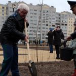 В Брянске в новом сквере Рекункова посадили 58 остролистных кленов