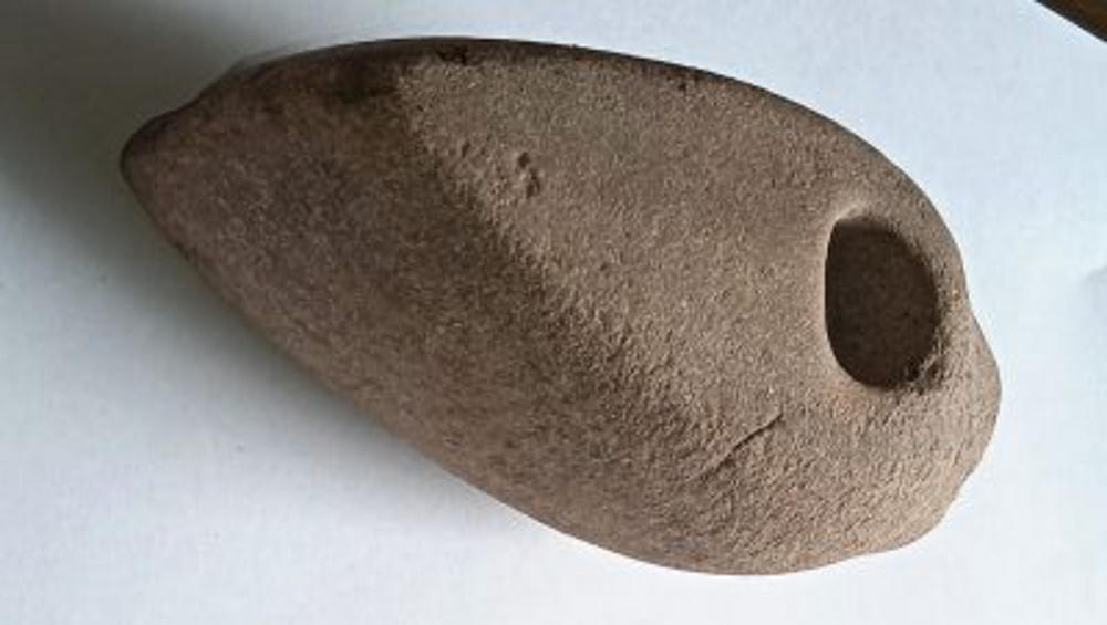 Под Суземкой при сортировке картофеля нашли топор возрастом 5 тысяч лет