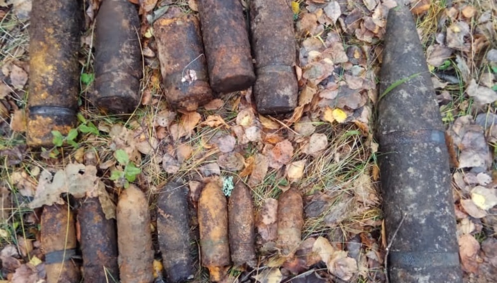 Под Брянском в лесу возле города Сельцо обнаружили 13 снарядов