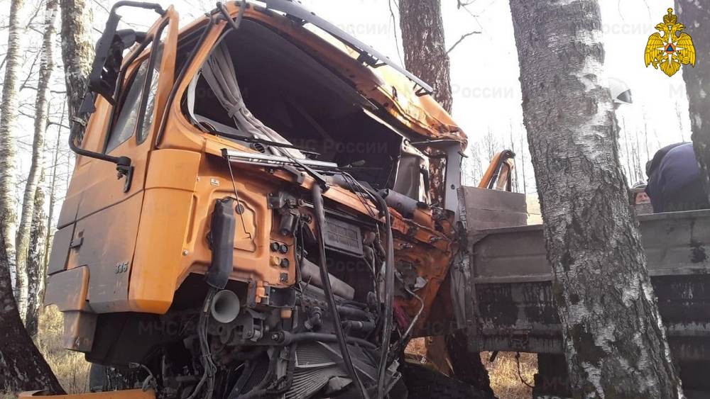 В Брянской области ранен водитель врезавшегося в дерево грузовика