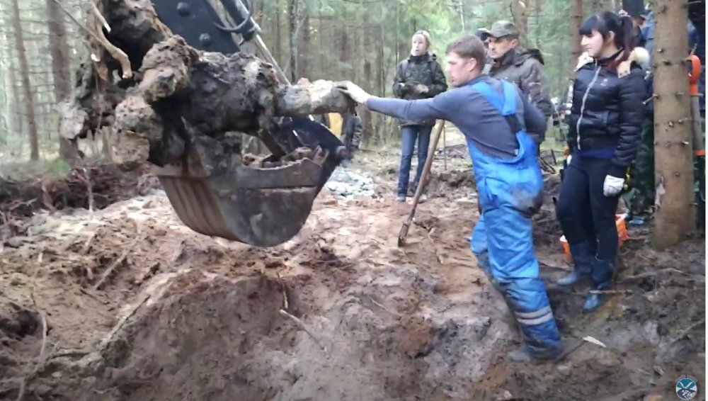 Под Брянском в лесу из земли подняли останки летчиков разбившегося Ил-4