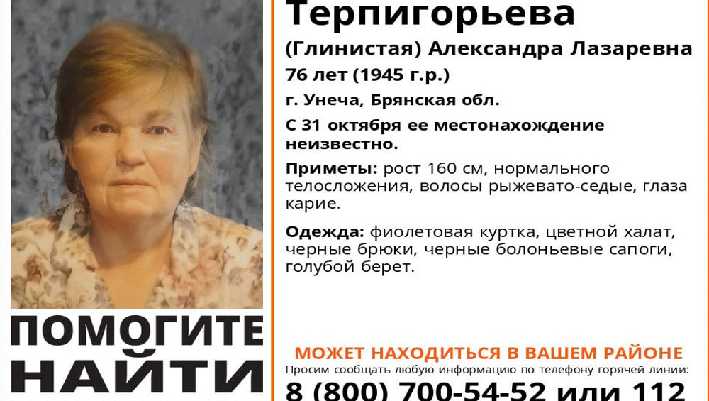 В Брянской области начали поиски пропавшей 76-летней Александры Терпигорьевой