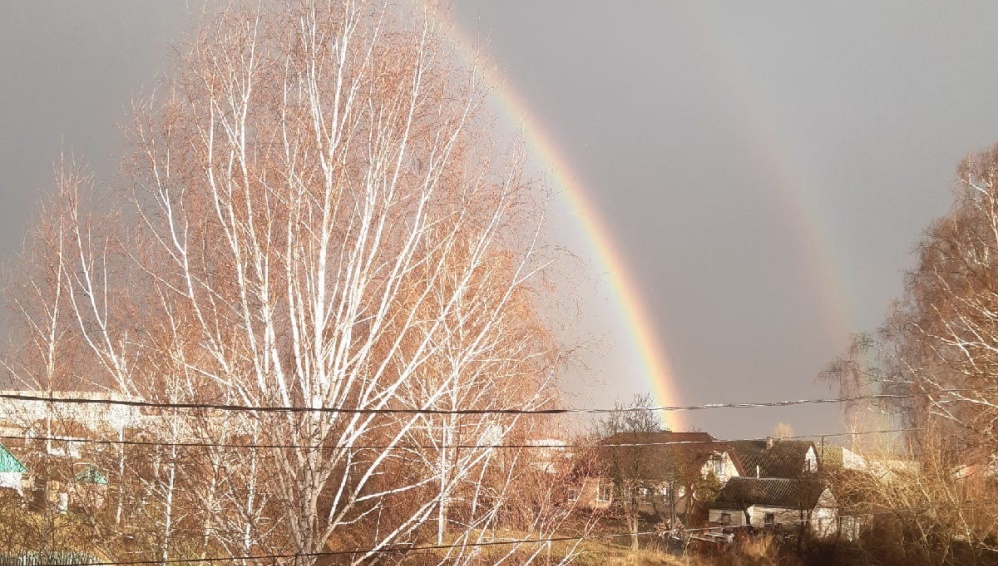 Жителей Брянской области восхитила ноябрьская радуга после дождя