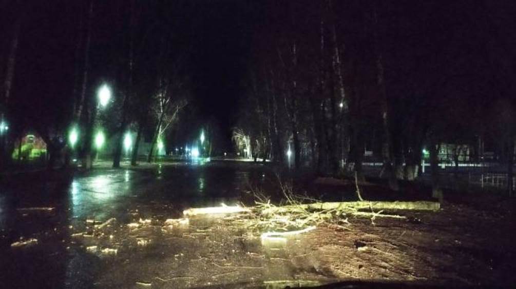 На посёлок Локоть Брянской области обрушился ураганный ветер
