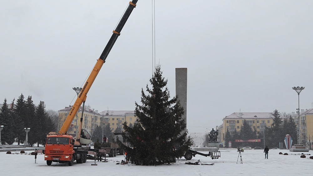 В Брянске установили новогоднюю ёлку на площади Партизан