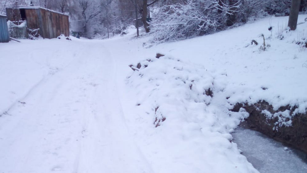 Выпавший в Брянской области снег сорвал график вывоза мусора