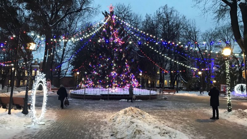 Новогодние ёлки установят в Круглом сквере Брянска, на площадях и в парках