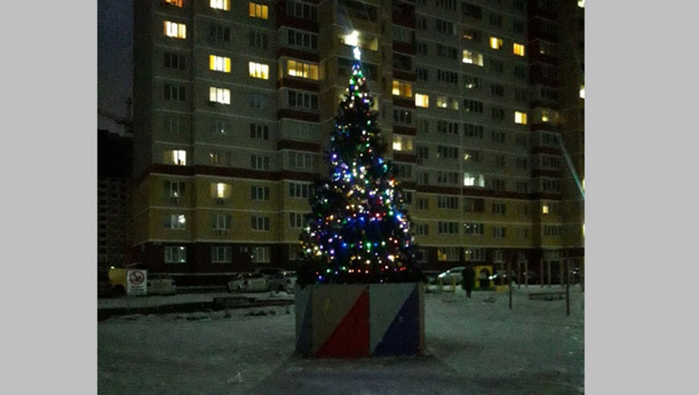 В Брянске жильцы многоэтажки на Станке Димитрова установили новогоднюю ёлку