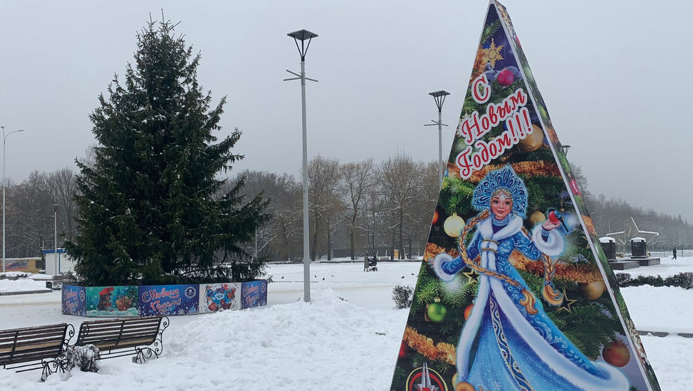 В Брянске установили 14-метровую новогоднюю ель на Кургане Бессмертия