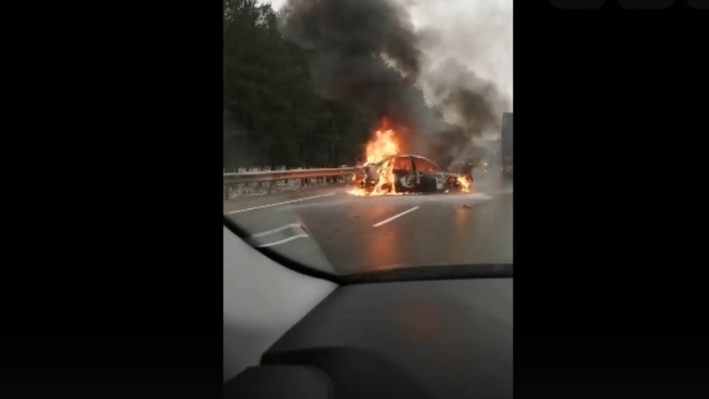 В Брянской области на трассе после ДТП сгорел легковой автомобиль