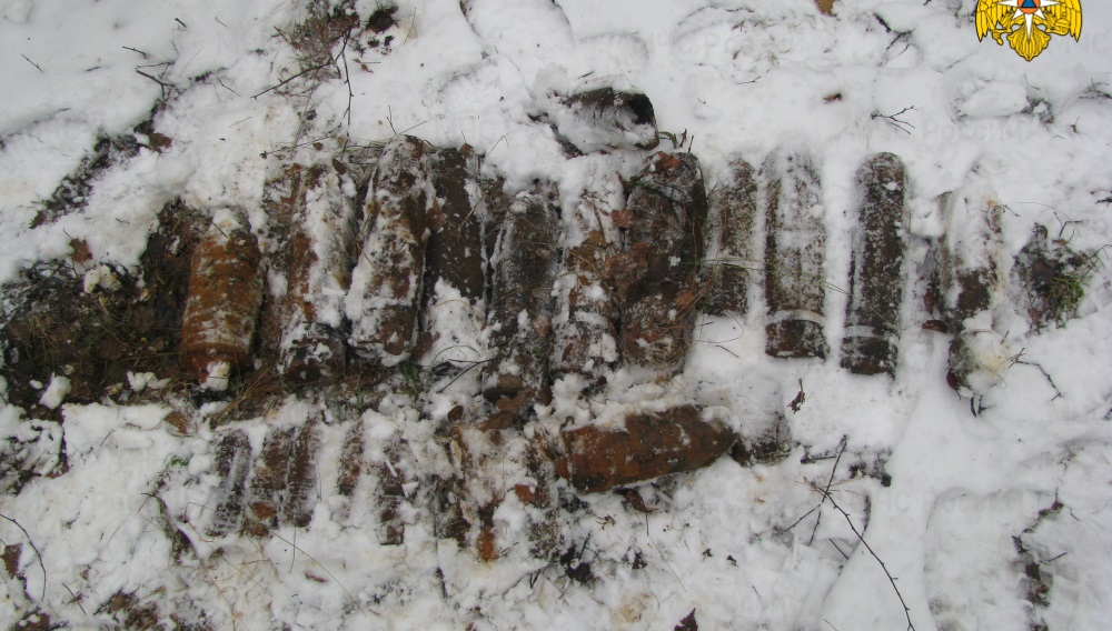 Под Брянском в лесу обнаружили авиабомбу и 19 снарядов