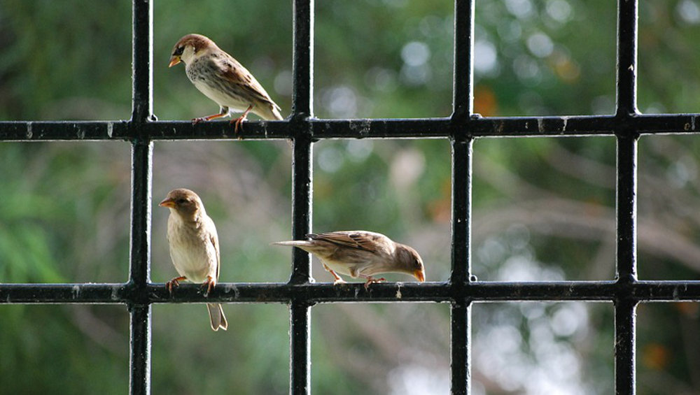 На Красногорском хлебокомбинате выпечка не была защищена от битого стекла и птиц