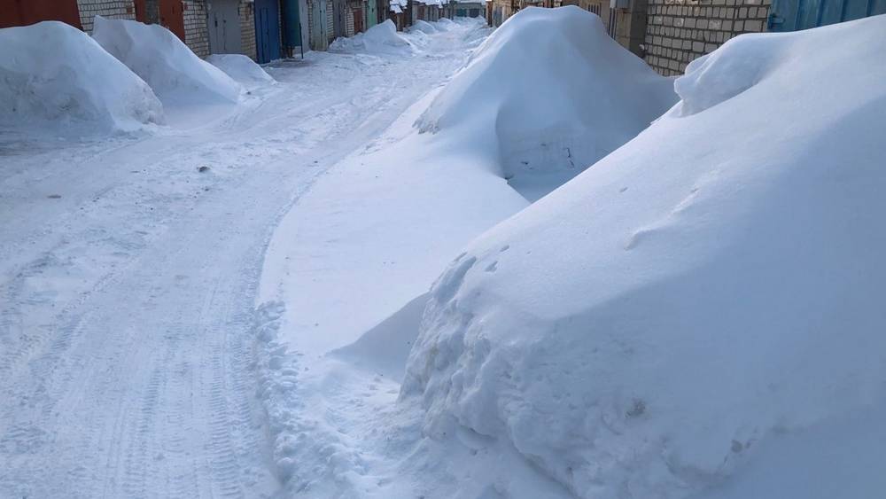 В Брянске появились боевые коммерческие бригады чистильщиков снега