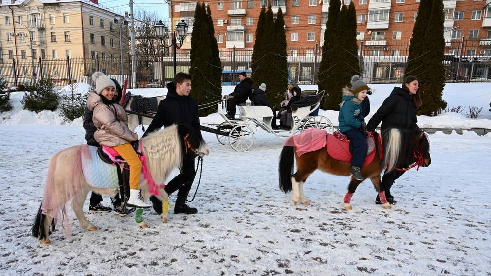 В Брянске возле собора детям подарили Рождественские катания на лошадях