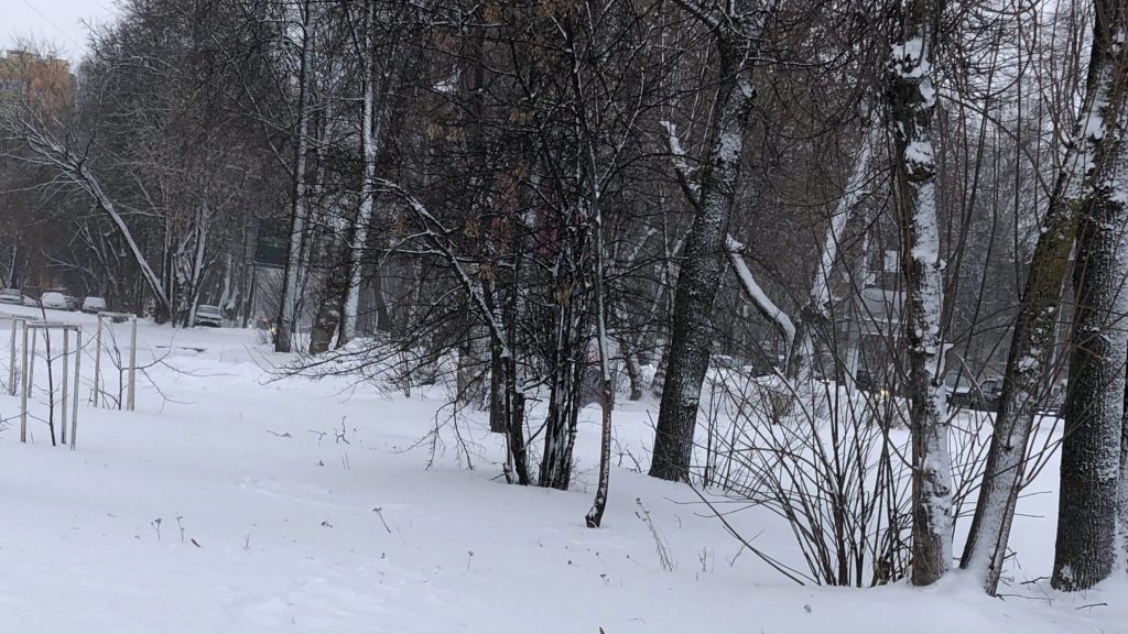 Брянск продолжило заметать снегом