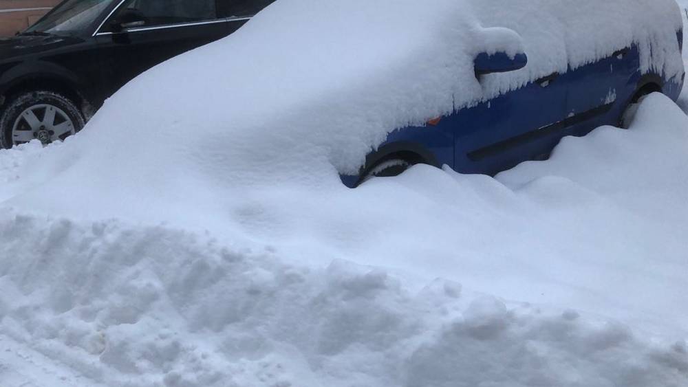 Последствия снегопада вызвали у жителей Брянска приступы агрессии