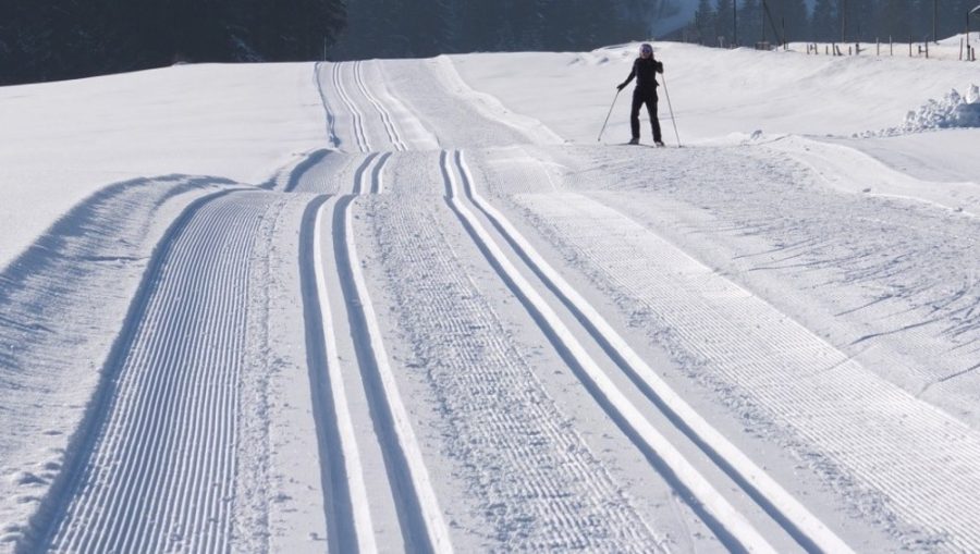 Брянская область сможет готовить лыжников мирового уровня