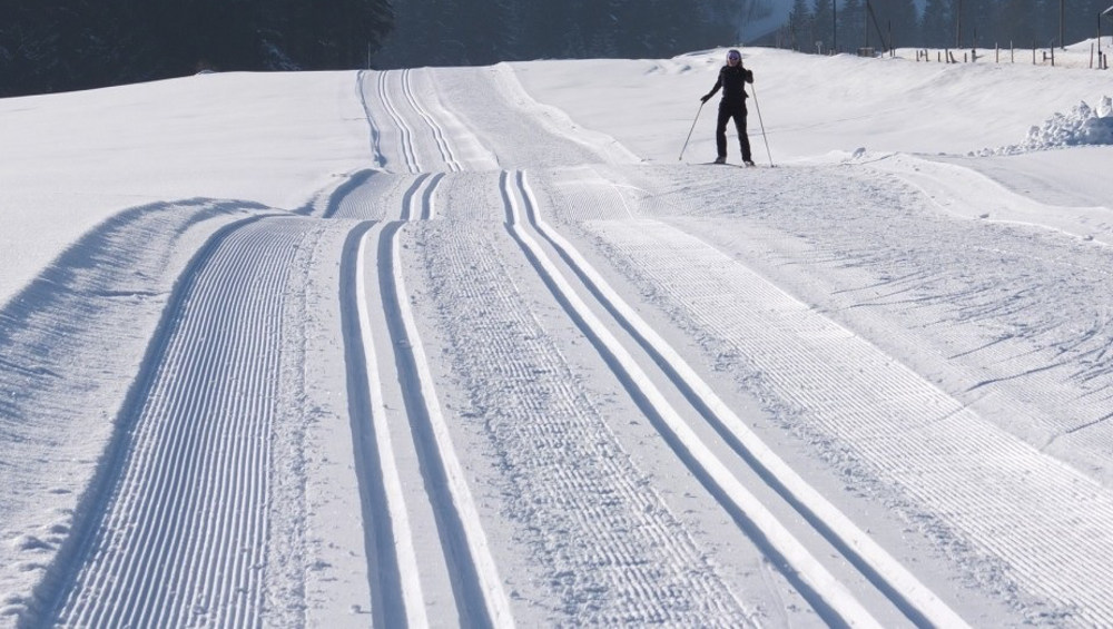 В Брянской области строительство центра лыжного спорта начнут в 2022 году