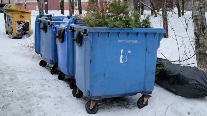 Жителям Брянской области напомнили о правилах утилизации отходов