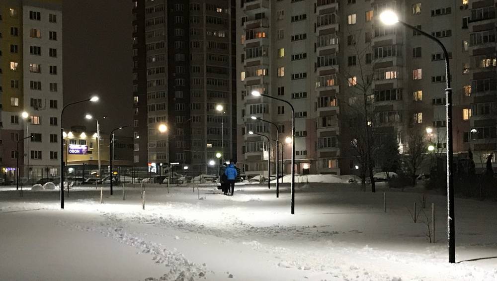 Снегопады продлятся в Брянской области до 3 февраля