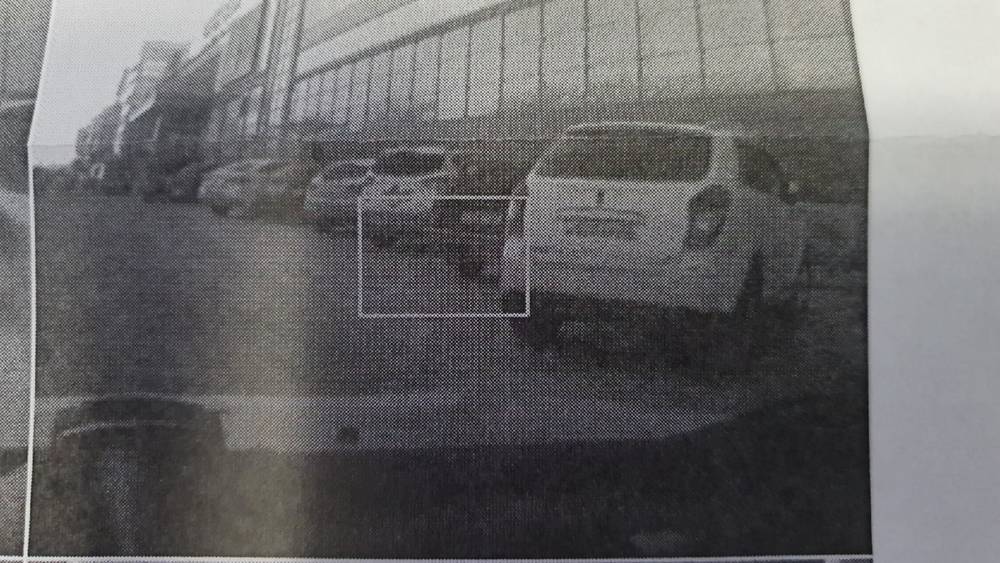 В Брянске «Дед Мороз» выписал водителям штрафы за парковку у ТРЦ «Аэропарк»