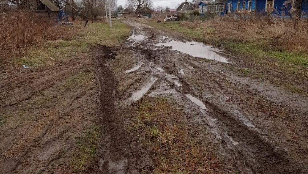 Прокуратура Брянской области обратила внимание на разбитую дорогу в Трыковке