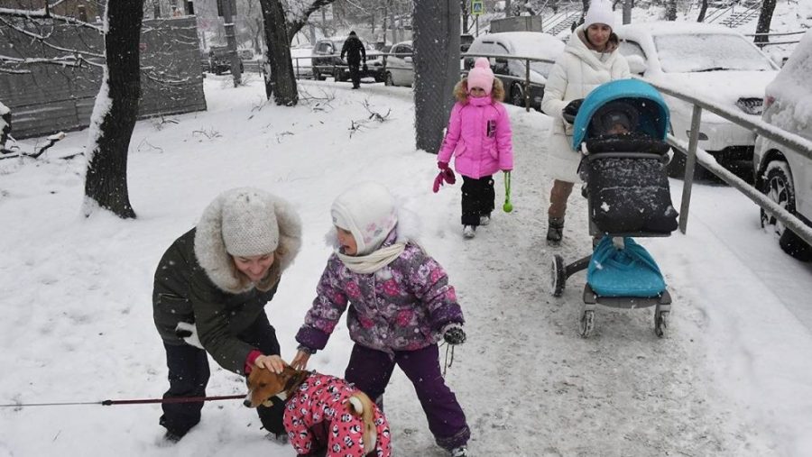 В Брянской области в декабре 2022 года изменится график выплаты пособий на детей