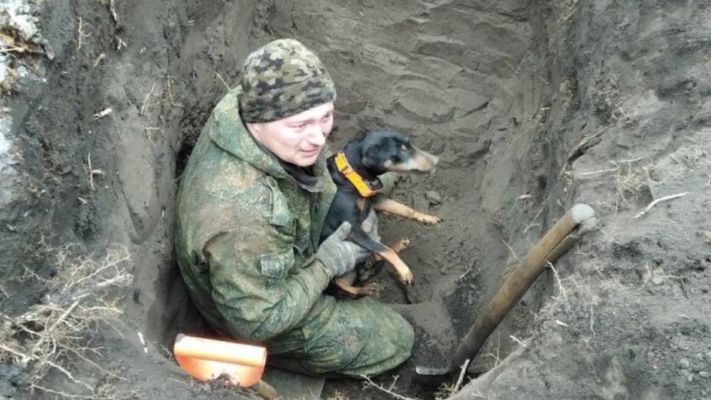 Пять дней курскому охотнику пришлось искать под землей собаку