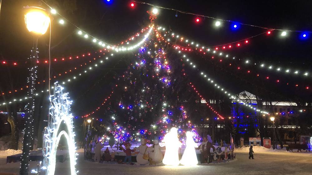 В Брянске начали поиски главной новогодней елки для установки ее в сквере Карла Маркса
