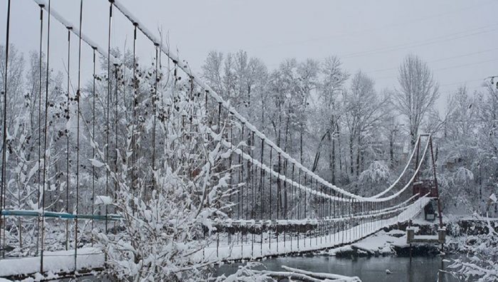 В Навле Брянской области неизвестные вредители уничтожили подвесной мост