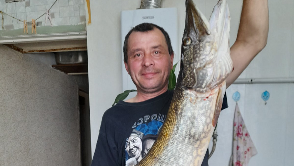 В Брянске рыбак похвалился выловленной гигантской щукой