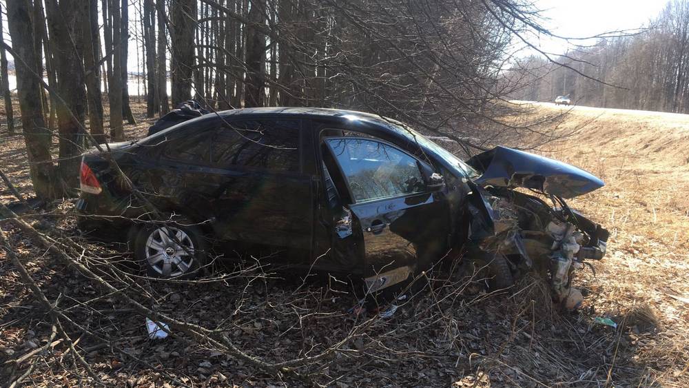 Под Брянском водитель врезавшегося в дерево Volkswagen повредил глаз